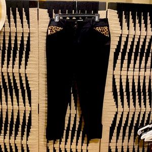 Womens Tiding Jodpurs